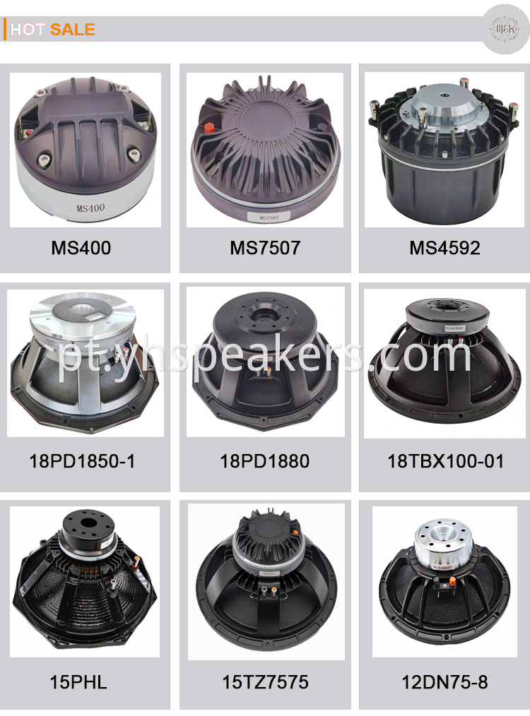 12[ Metal Basket Low Frequency Transducer